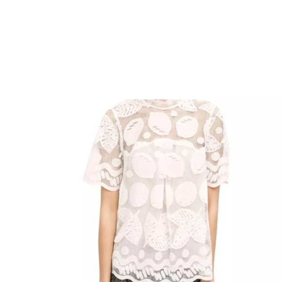 Anthropologie Tops - Anthropologie HD In Paris Womens Lemon Lilly Lace Top Ivory High Neck size 8